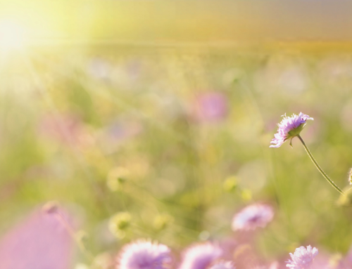 Lessons from June’s Transition